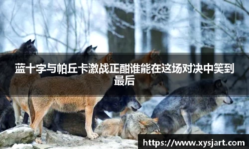 蓝十字与帕丘卡激战正酣谁能在这场对决中笑到最后